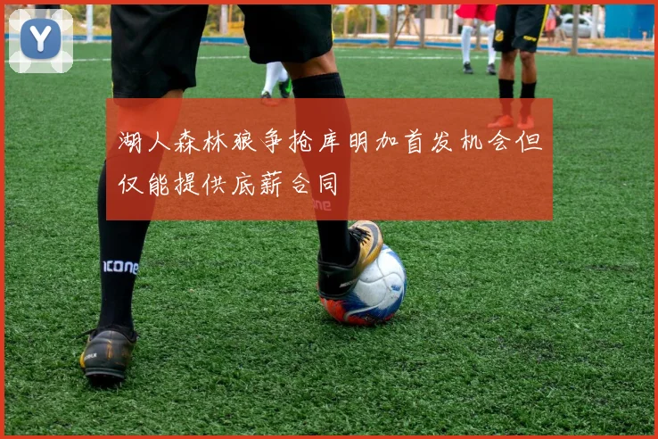 湖人森林狼争抢库明加首发机会但仅能提供底薪合同