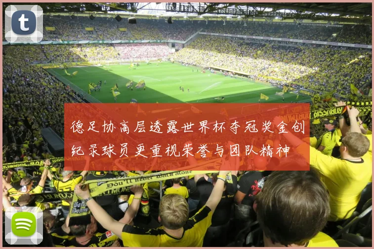 德足协高层透露世界杯夺冠奖金创纪录球员更重视荣誉与团队精神
