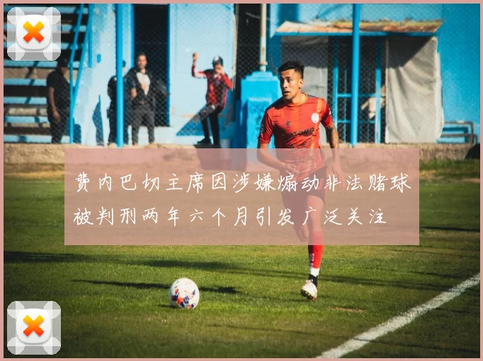 费内巴切主席因涉嫌煽动非法赌球被判刑两年六个月引发广泛关注